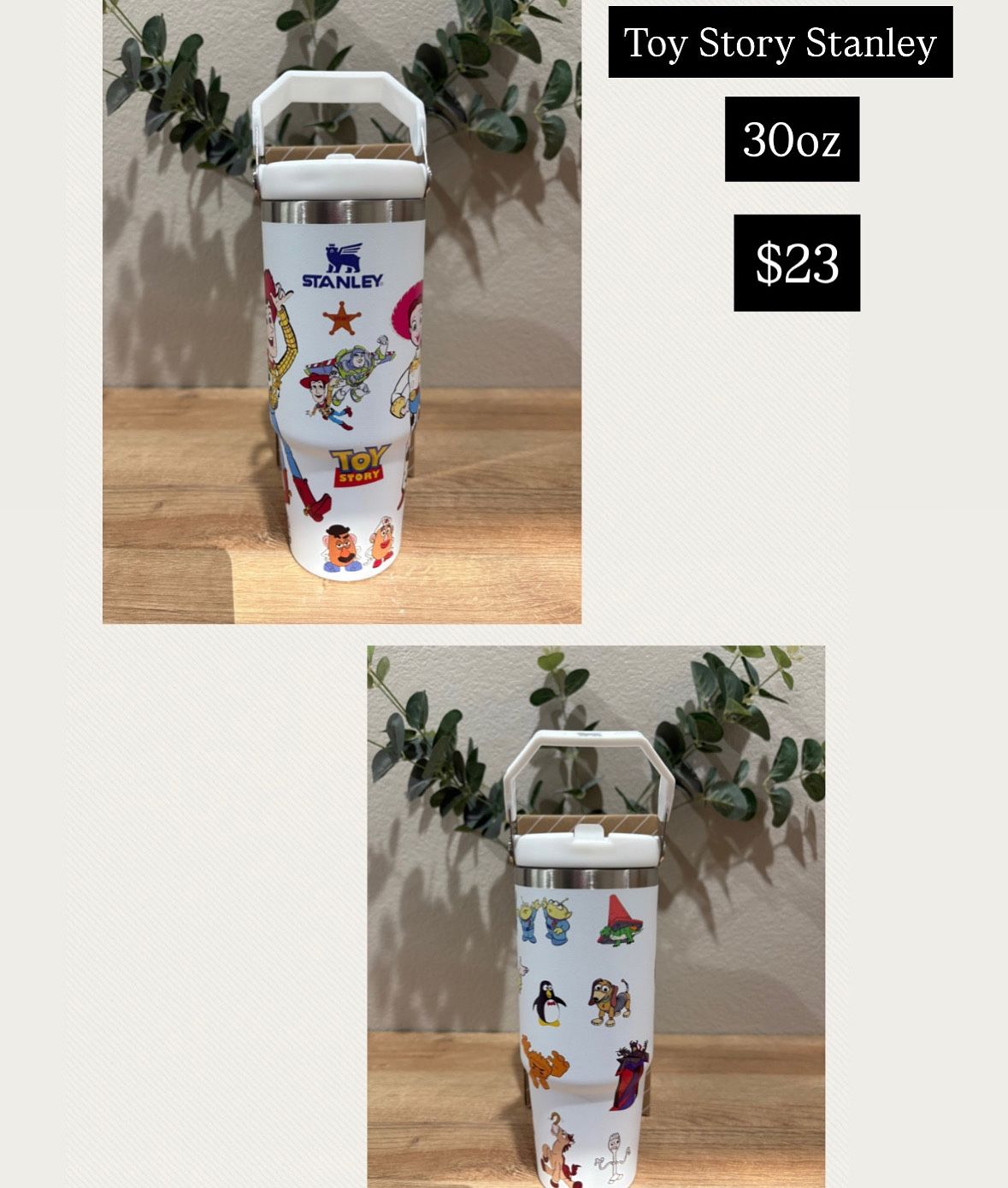 Toy Story 30oz Stanley 