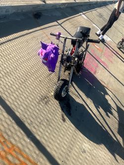 Mini bike