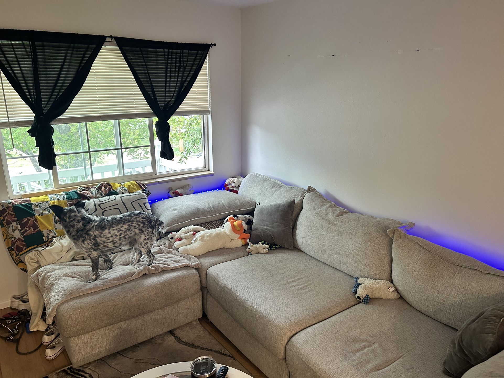 American Furniture Sectional