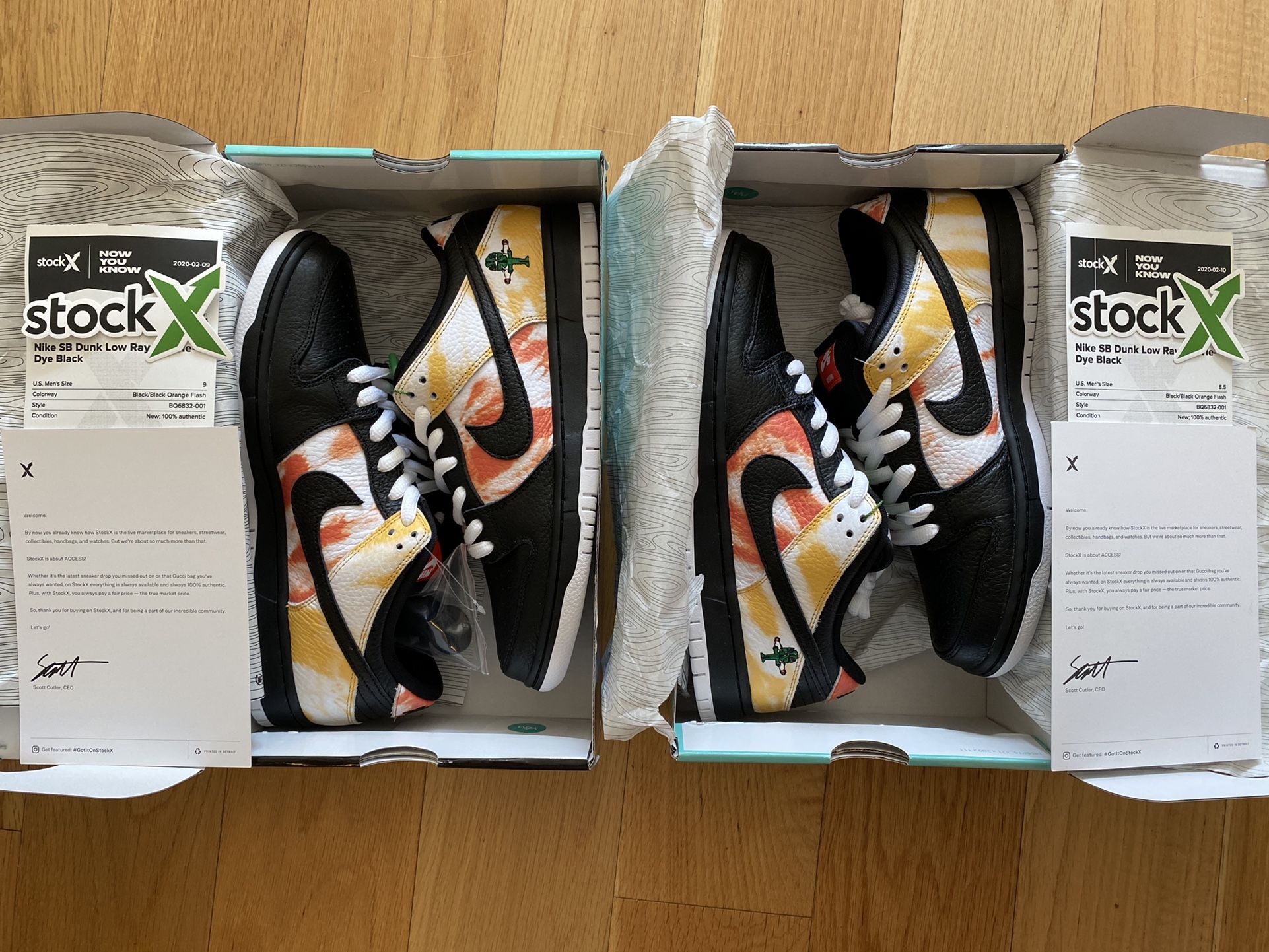 RayGun Nike Dunk 8.5/9