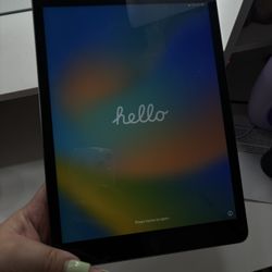 iPad 