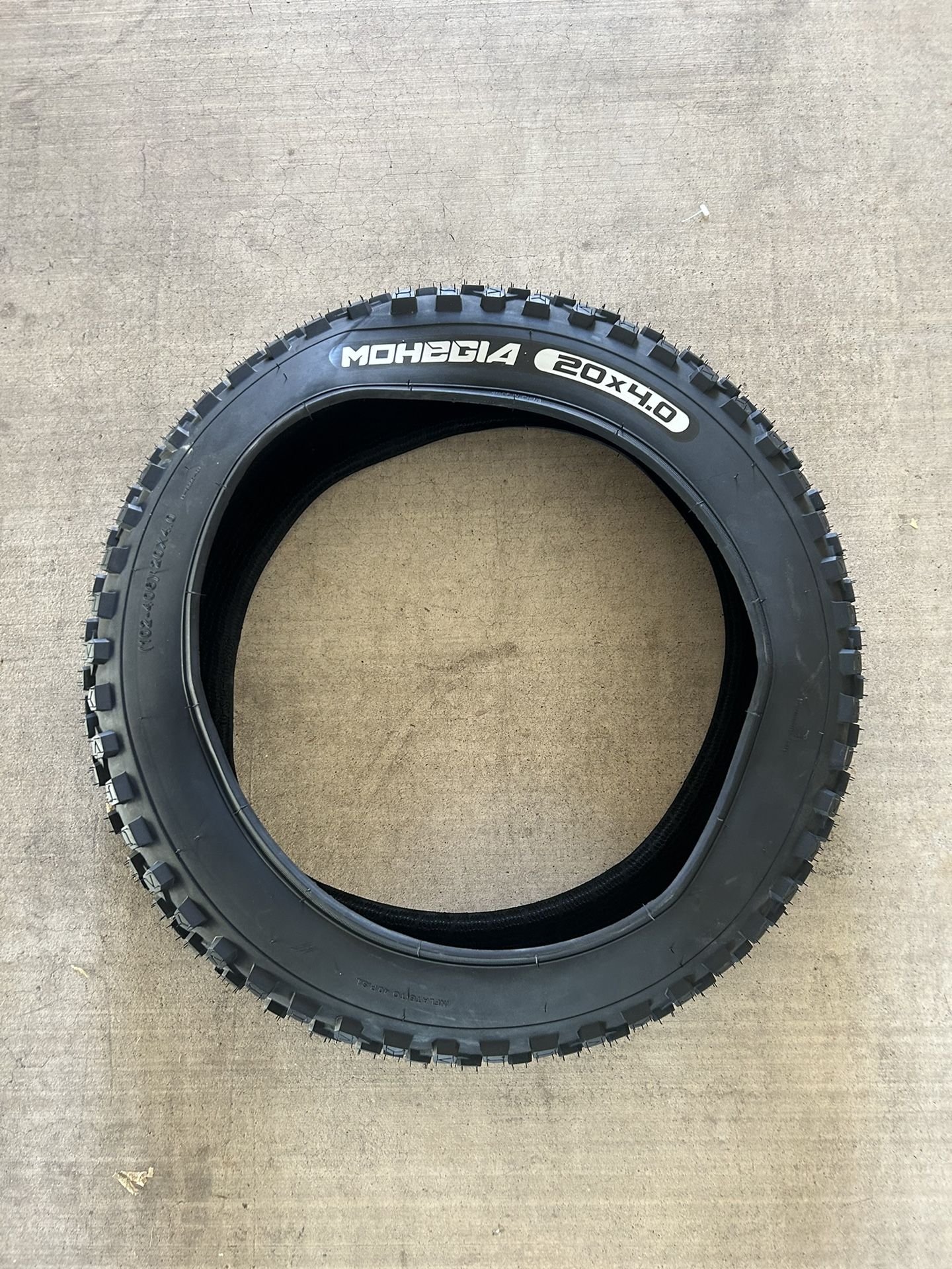 20x 4.0 Fat Tire/e Bike