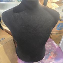 Mannequins / Dress Forms – 5 Total ✨