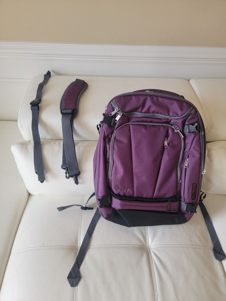 E Bag ,backpack   and/or  Carrying bag