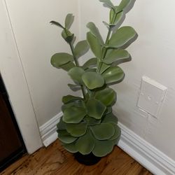 Fake Plant