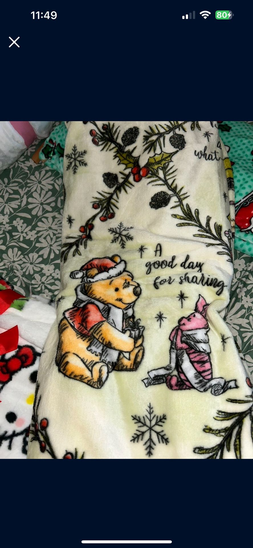 Winnie The Pooh Blanket 