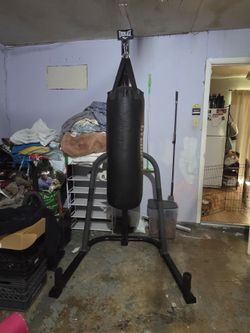 Everlast punching bag