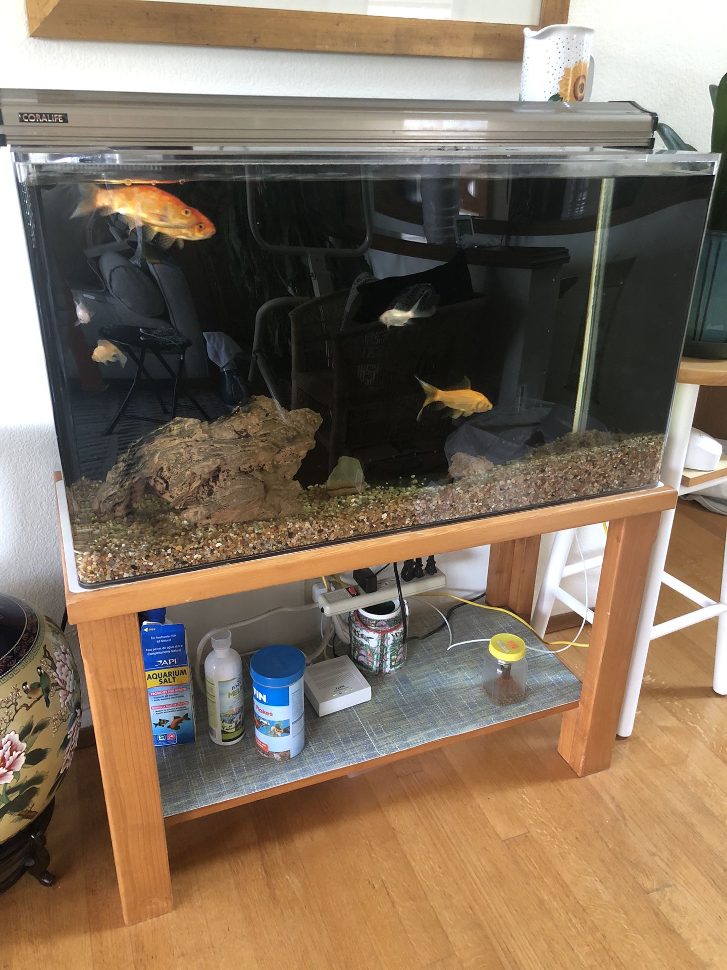 50 gallon Fish Tank