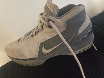 Nike Lebron Zoom Air Generation 