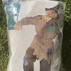 Adult male Mr.Scarecrow Costume