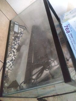 10GallonTank&Rocks