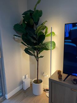 Tall Artificial Plant - Looks Realistic!