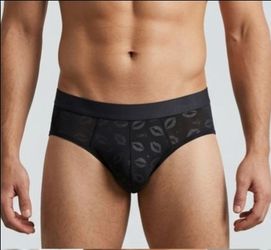 Mens Sheer Black  Brief Underwear