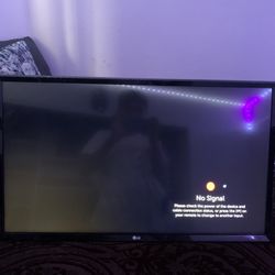 32 Inch LG Tv With Mount 