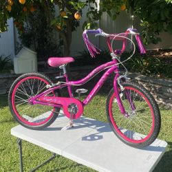 Like New 19” Schwinn Deelite Bicycle