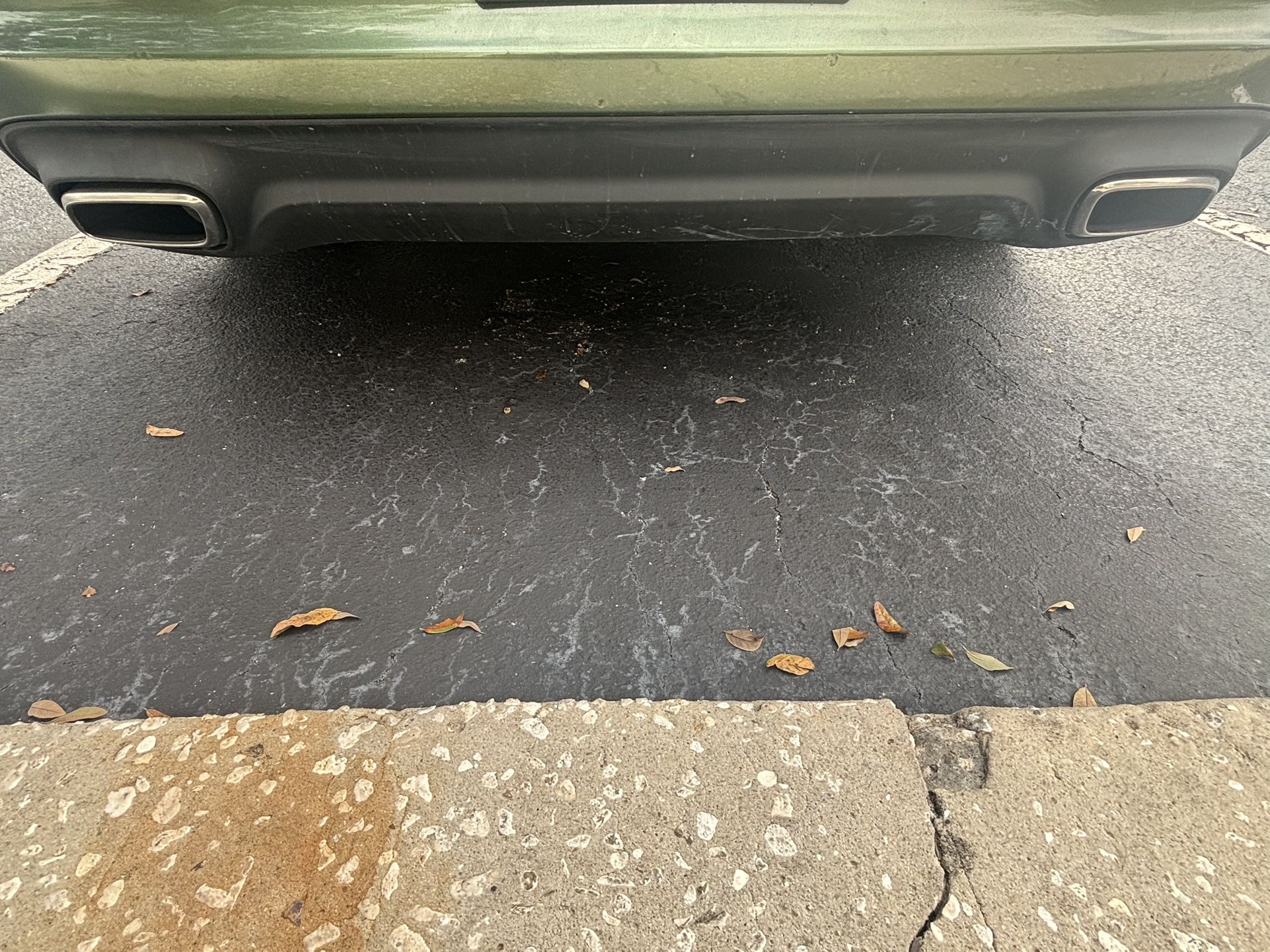 2022 Sxt Dodge Charger Stock Exhausted Tips