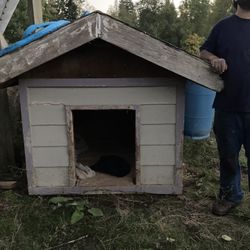 Huge Very Heavy Dog/goat House