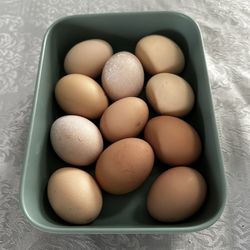 Eggs 