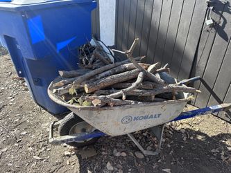 Firewood