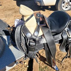 Montura Nueva Size 15