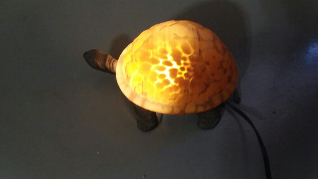 Rare turtle lamp