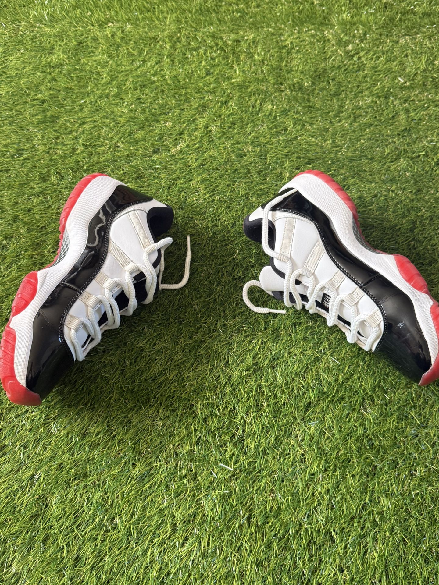 Jordan 11 Concord Bred