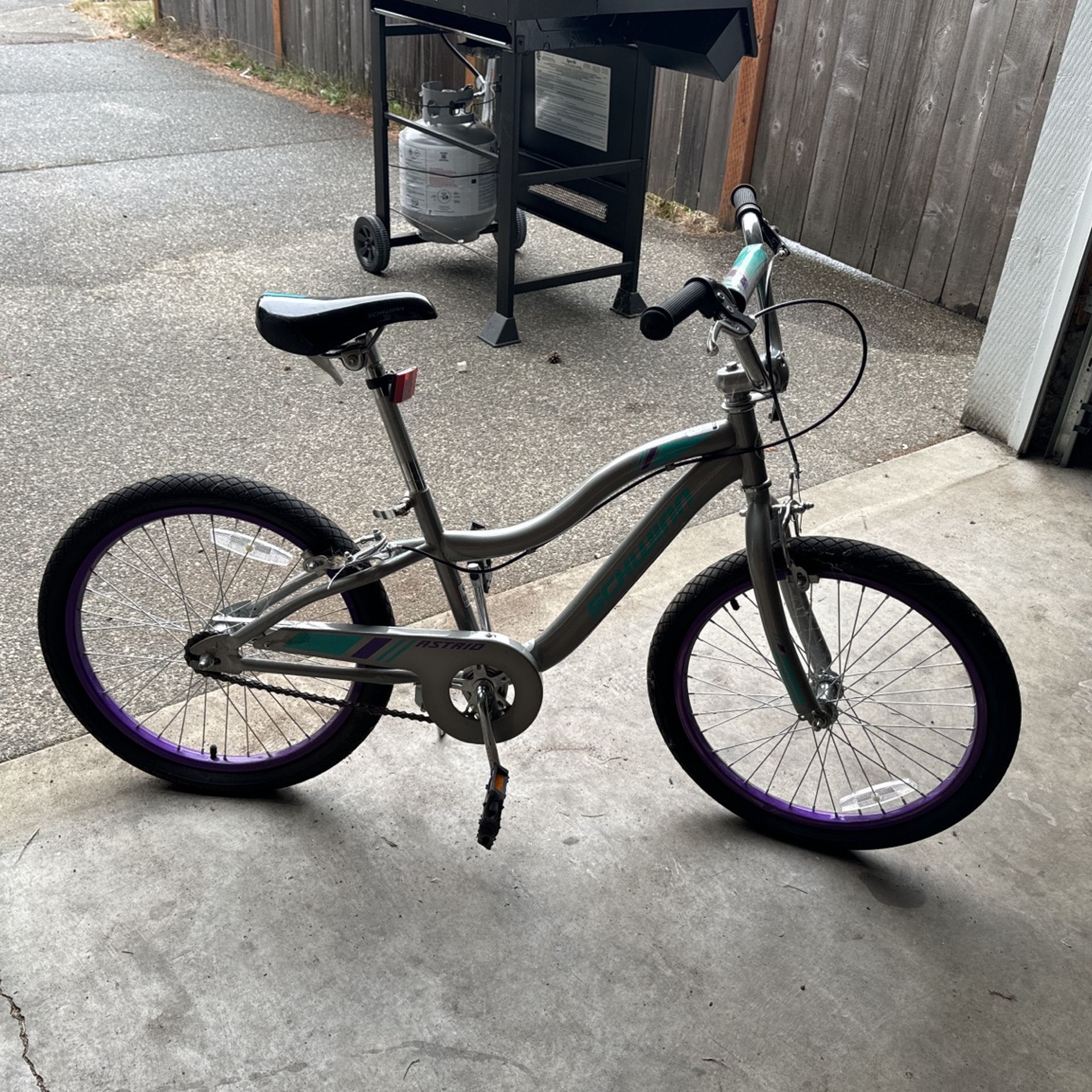 Girls Schwinn Bike