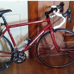 Schwinn Road bike Fastback 3