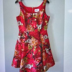 Nicole Miller, New York Floral Pleat Fit In Flare Dress Size 12