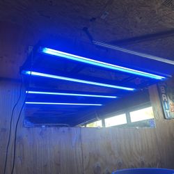 Geismann T5 Light Rail With Slides 5ft