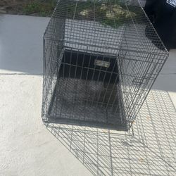 Extra Large Crate Folds Up 48x 36 High 
