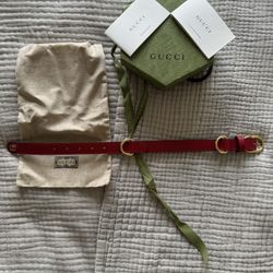 Gucci Dog Collar