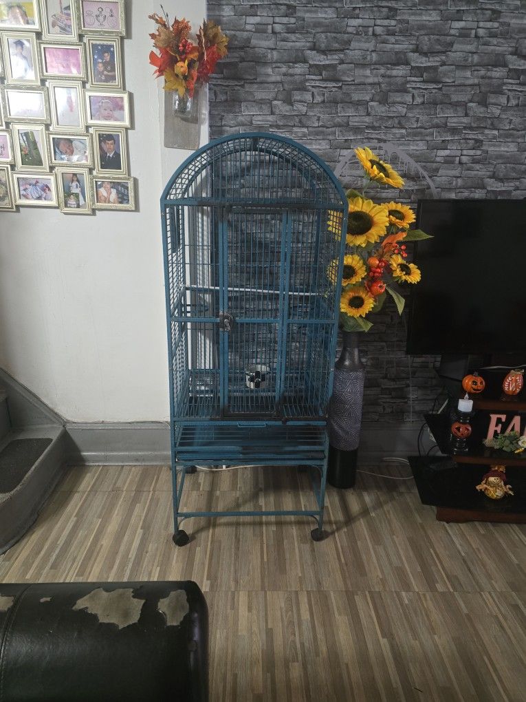 Bird Cage