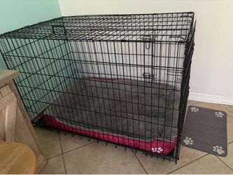 XXL 48" Double-Door Wire Dog Crate with Bed & Mat (Great Condition)