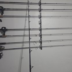 Fishing Rods And Reels 