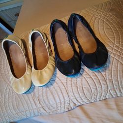 Tieks 2 Pier  Sisze 11