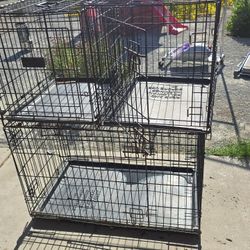 Dog Crates
