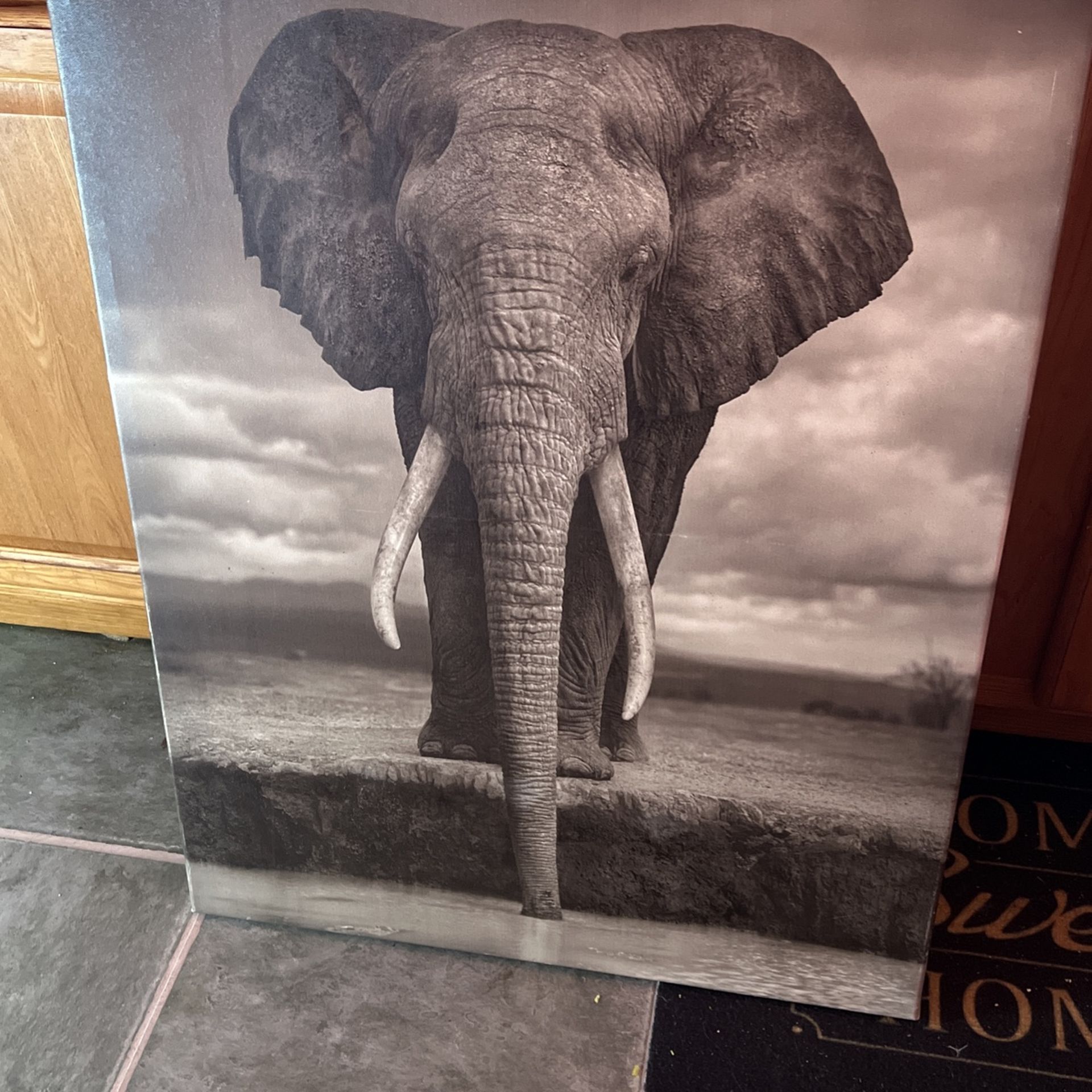 Framed Elephant