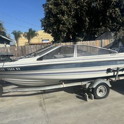 Bay liner Boat 