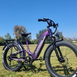 Fat Tires Full Suspension Electric Bike