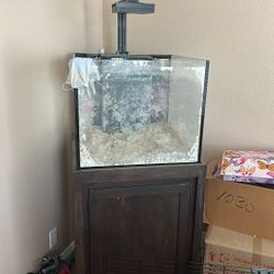 50 Gallon Cube Fish Tank And Stand