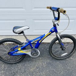 Schwinn Falcon 20” bike in great condition! 