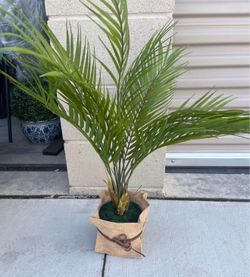 Mini Faux Palms (6)