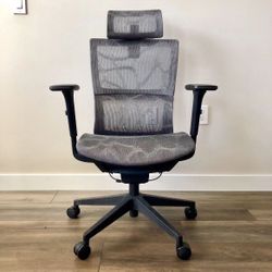 Ergonomic Office Chair with Lumbar Support