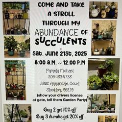 Succulent Garden Dishes