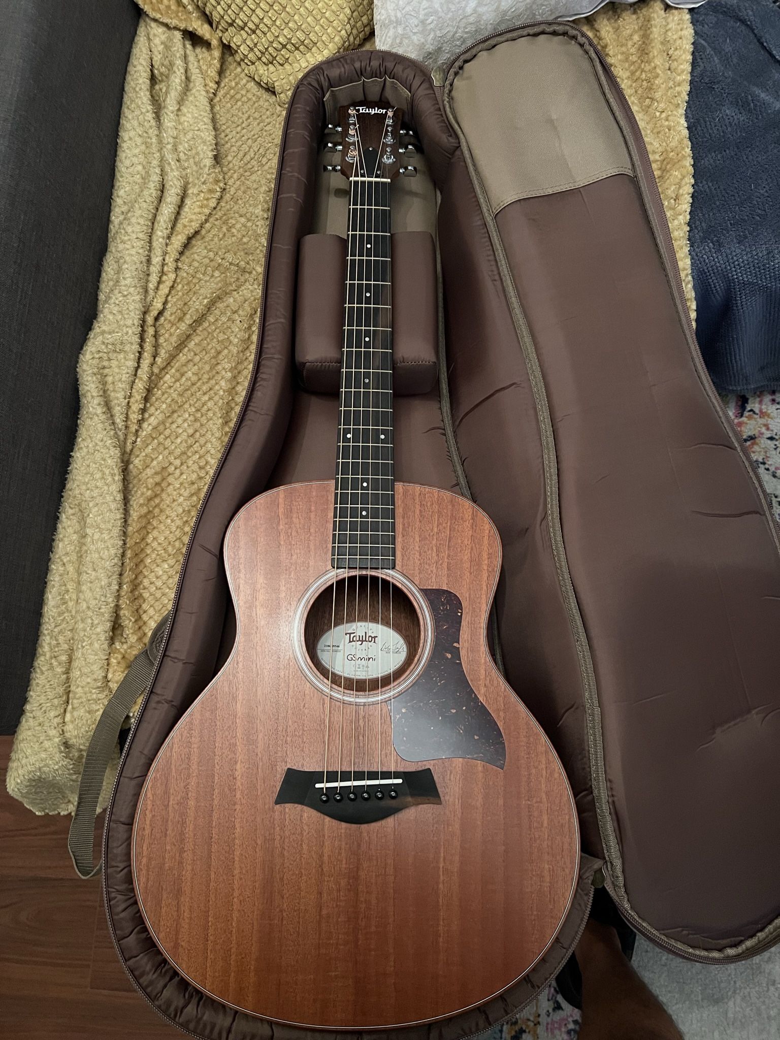 Taylor Gsmini