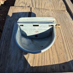 Automatic water feeder for horse