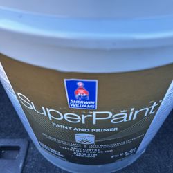 5 Gallon Super Paint (9110 MALABAR)