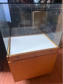 Museum glass display case with stand/storage feature