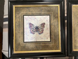 2 pictures of butterflies